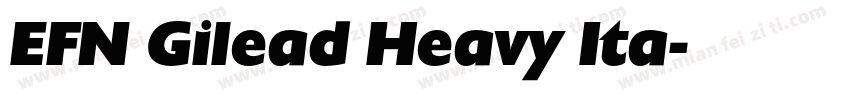 EFN Gilead Heavy Ita字体转换